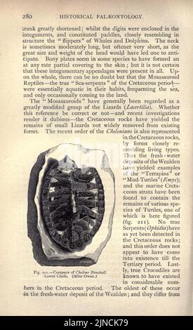 L'ancienne vie-histoire de la terre (page 280) Banque D'Images
