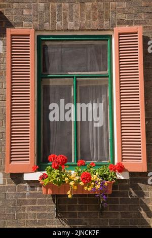 Fenêtre décorée avec boîte à fleurs en été. Banque D'Images