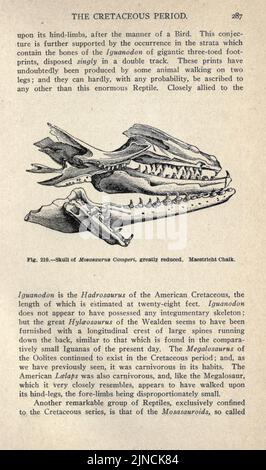 L'ancienne vie-histoire de la terre (page 287) Banque D'Images