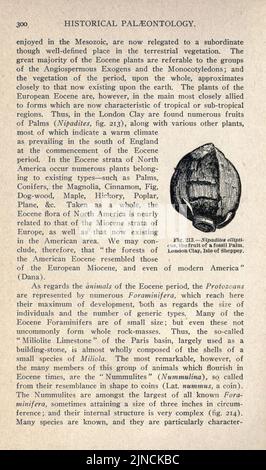 L'ancienne vie-histoire de la terre (page 300) Banque D'Images