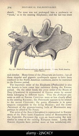 L'ancienne vie-histoire de la terre (page 304) Banque D'Images