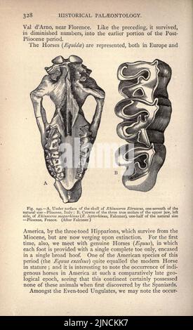 L'ancienne vie-histoire de la terre (page 328) Banque D'Images