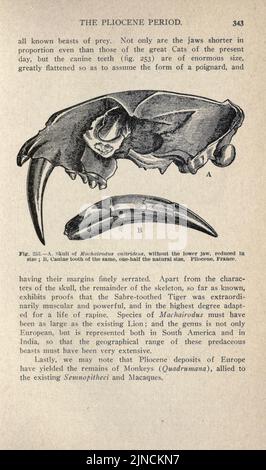 L'ancienne vie-histoire de la terre (page 343) Banque D'Images