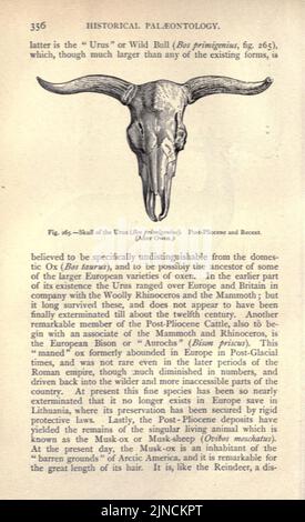 L'ancienne vie-histoire de la terre (page 356) Banque D'Images