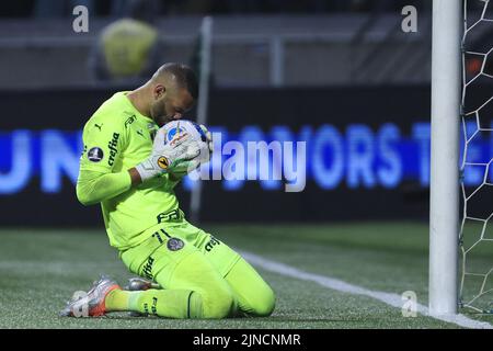 Sao Paulo, Brésil. 10th août 2022. SP - Sao Paulo - 10/08/2022 - LIBERTADORES 2022, PALMEIRAS X ATLETICO-MG - Weverton jogador do Palmeiras comemora gol marcado de penalti em decisiao durante da contra o Atletico-MG no estadio Arena Allianz Partipelo campeonato Copa Libertadores 2022. Foto: Ettore Chiereguini/AGIF/Sipa USA crédit: SIPA USA/Alay Live News Banque D'Images