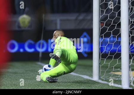 Sao Paulo, Brésil. 10th août 2022. SP - Sao Paulo - 10/08/2022 - LIBERTADORES 2022, PALMEIRAS X ATLETICO-MG - Weverton jogador do Palmeiras comemora gol marcado de penalti em decisiao durante da contra o Atletico-MG no estadio Arena Allianz Partipelo campeonato Copa Libertadores 2022. Foto: Ettore Chiereguini/AGIF/Sipa USA crédit: SIPA USA/Alay Live News Banque D'Images