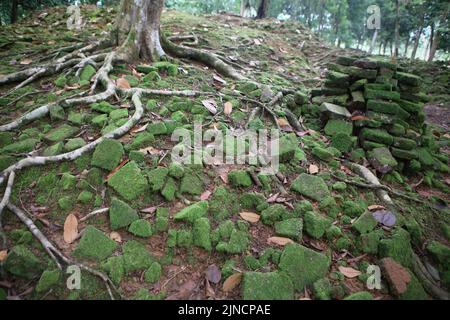 Morceaux de briques de la ruine d'une ancienne structure à candi Koto Mahligai (Koto Mahligai temple), un des composés de temple de Muara Jambi à Muaro Jambi, Jambi, Indonésie. Banque D'Images