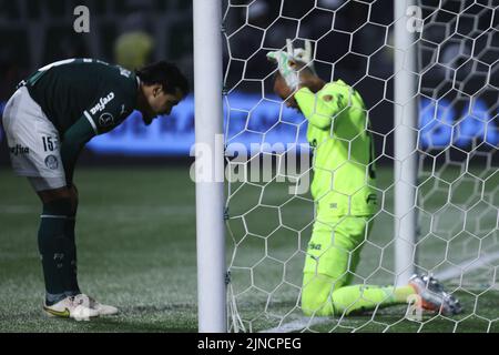 Sao Paulo, Brésil. 10th août 2022. SP - Sao Paulo - 10/08/2022 - LIBERTADORES 2022, PALMEIRAS X ATLETICO-MG - Weverton jogador do Palmeiras comemora gol marcado de penalti em decisiao durante da contra o Atletico-MG no estadio Arena Allianz Partipelo campeonato Copa Libertadores 2022. Foto: Ettore Chiereguini/AGIF/Sipa USA crédit: SIPA USA/Alay Live News Banque D'Images