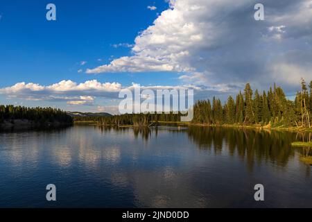 Vue sur la rivière Yellowstone depuis le pont de pêche du parc national de Yellowstone, comté de Teton, Wyoming, au nord-est. Banque D'Images