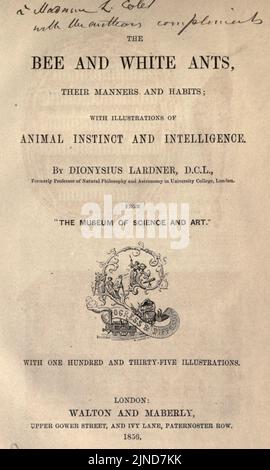 Les abeilles et les fourmis blancs, leurs manières et leurs habitudes Banque D'Images