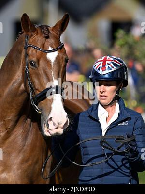 Herning, Danemark. 10th août 2022. World Equestrian Games. Écuries. Charlotte Dujardin (GBR) à cheval IMHOTEP pendant l'inspection du cheval de dressage. Credit: Sport en images/Alamy Live News Banque D'Images