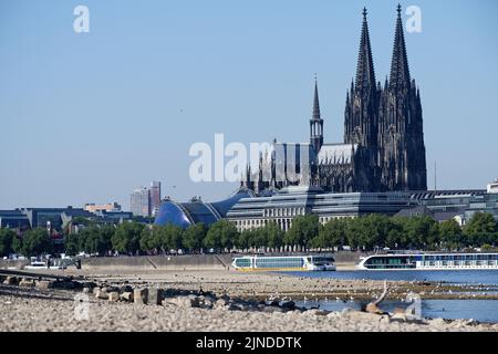 Cologne, Allemagne 09 août 2022: Niveau d'eau bas sur le rhin à cologne Banque D'Images