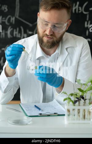 Biobiobiotechnolog compte-gouttes sur tube à essai qui dépose l'échantillon chimique dans l'échantillon de plantes médicinales, extraits naturels. Concept de recherche en biotechnologie. Banque D'Images