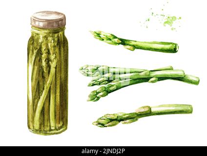 Ensemble d'asperges en conserve. Illustration aquarelle dessinée à la main, isolée sur fond blanc Banque D'Images