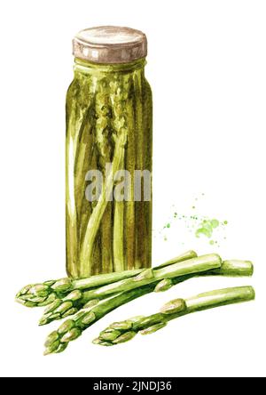 Asperges en conserve. Illustration aquarelle dessinée à la main, isolée sur fond blanc Banque D'Images