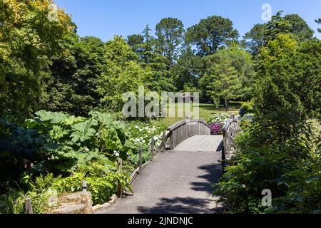 Treliswick House et les jardins de Cornwall Banque D'Images