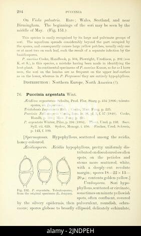 Les champignons roumains britanniques (Uredinales) (page 204) Banque D'Images