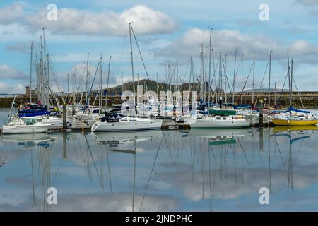 Small Boat Marina, Howth, Co. Dublin, Irlande Banque D'Images