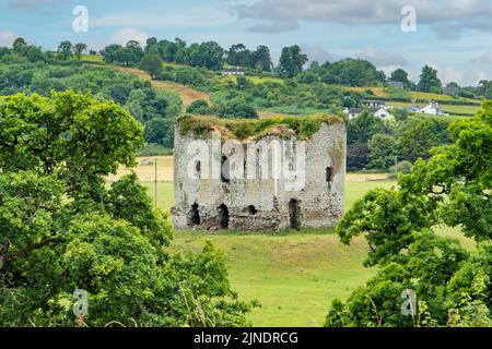 Château de Grennan, Thomastown, Co. Kilkenny, Irlande Banque D'Images