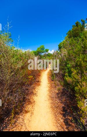 Corse du Sud, paysage vertical d'été avec une perspective de sentier. Plage de Cubabia Banque D'Images