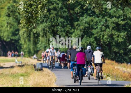 Dresde, Allemagne. 09th août 2022. Plusieurs cyclistes sont en vélo sur la piste cyclable de l'Elbe à Dresde par temps ensoleillé. Credit: Daniel Schäfer/dpa/Alay Live News Banque D'Images