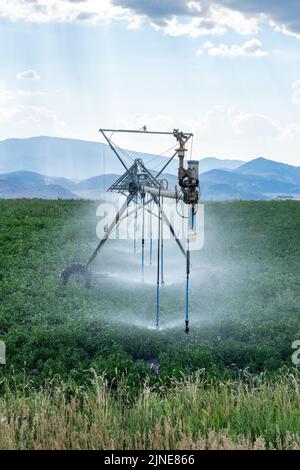 Système d'irrigation sprinkleur à pivot central arrosoir un champ de pommes de terre près de Soda Springs, Idaho. Banque D'Images