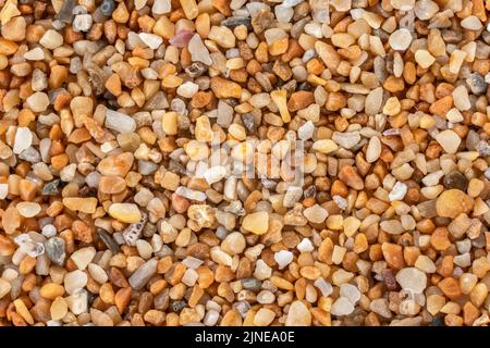 Sable de mer (plage de Ghajn Tuffieha, Malte) avec des particules d'orange rougeâtre peu de coquillages d'océan restent visibles. Microscope photo, largeur d'image 9mm Banque D'Images