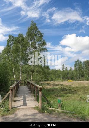 Sentier dans la réserve naturelle d'Ohligser Heide,Solingen-Ohligs,Bergisches Land,Allemagne Banque D'Images