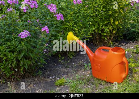 un arrosoir rouge se tient sur le fond d'un jardin de fleurs. Photo de haute qualité Banque D'Images