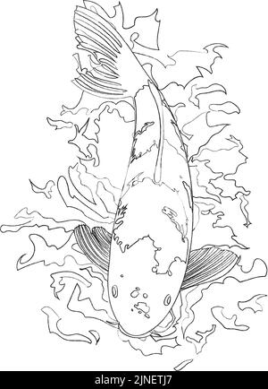 Illustration de la natation de carpe: Ligne seulement, pas de couleur Illustration de Vecteur