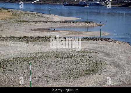 Düsseldorf, Allemagne. 11th août 2022. Un navire passe devant les groynes sèches sur les rives du Rhin. On s'attend à ce que le Rhin coule de moins en moins d'eau dans les jours à venir. La Federal Waterways and Shipping Administration (WSV) s'attend à ce que les niveaux d'eau continuent de baisser jusqu'au week-end. Credit: Federico Gambarini/dpa/Alay Live News Banque D'Images