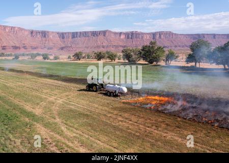 Un tracteur tirant un brûleur de propane brûle les mauvaises herbes dans un champ de foin après avoir coupé la luzerne dans un ranch de l'Utah. Banque D'Images