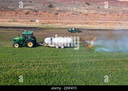 Un tracteur tirant un brûleur de propane brûle les mauvaises herbes dans un champ de foin après avoir coupé la luzerne dans un ranch de l'Utah. Banque D'Images