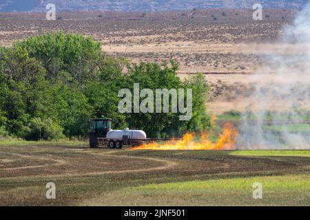 Un tracteur tirant un brûleur de propane brûle les mauvaises herbes dans un champ de foin après avoir coupé la luzerne dans un ranch de l'Utah. Banque D'Images