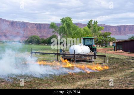 Un tracteur tirant un brûleur de propane brûle les mauvaises herbes dans un champ de foin après avoir coupé la luzerne dans un ranch de l'Utah. Banque D'Images