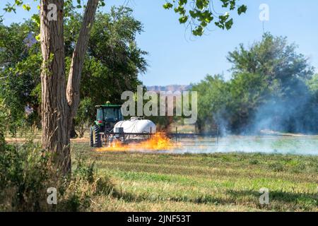 Un tracteur tirant un brûleur de propane brûle les mauvaises herbes dans un champ de foin après avoir coupé la luzerne dans un ranch de l'Utah. Banque D'Images