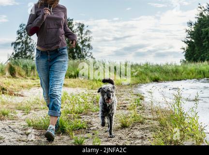 femme sans visage courant le long du lac avec voyage de chien de race mixte et randonnée avec les animaux de compagnie chien de marche Banque D'Images