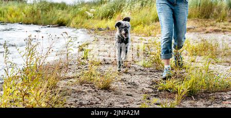 femme sans visage courant le long du lac avec voyage de chien de race mixte et randonnée avec les animaux de compagnie chien de marche Banque D'Images