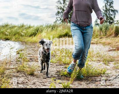 femme sans visage courant le long du lac avec voyage de chien de race mixte et randonnée avec les animaux de compagnie chien de marche Banque D'Images