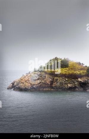 Jour pluvieux sur l'île dans le brouillard du matin sur Jamestown, Rhode Island Banque D'Images