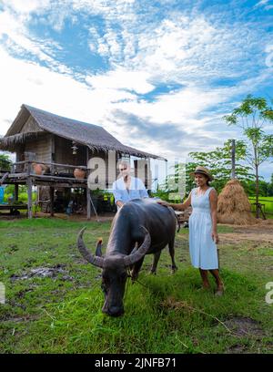 Couple hommes et femmes nourrissant un buffle en vacances dans une maison en Thaïlande, éco-ferme avec rizières vertes pendant la saison de la mousson en Thaïlande Banque D'Images