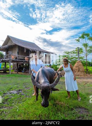 Couple hommes et femmes nourrissant un buffle en vacances dans une maison en Thaïlande, éco-ferme avec rizières vertes pendant la saison de la mousson en Thaïlande Banque D'Images