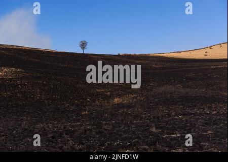 Des brises de feu ont brûlé dans la vallée de Kamberg, dans les montagnes de Drakensberg en Afrique du Sud, pendant les mois d'hiver où la saison des incendies menace Banque D'Images