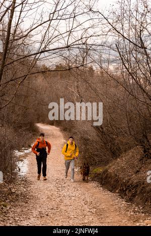 Des amis masculins étonnants et séduisant sont en train de courir avec le chien ensemble sur le chemin dans la forêt tout en appréciant Banque D'Images