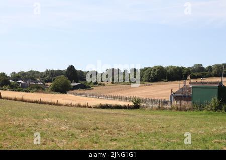 Langley Bottom Farm, Langley Vale, Epsom Downs, Surrey, Angleterre, Royaume-Uni, juillet 2022 Banque D'Images