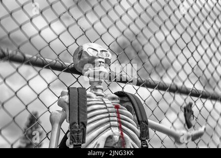 Photo d'un squelette portant un sac à dos et une clôture d'école en noir et blanc avec une blessure par balle dans la poitrine Banque D'Images