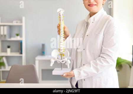 Prise de vue rognée d'un médecin dans une clinique orthopédique tenant un modèle anatomique de la colonne vertébrale humaine Banque D'Images