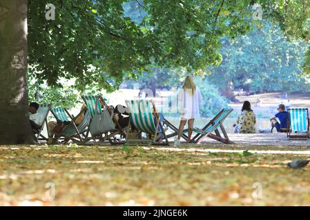 11th août 2022. Des conditions de tinder-sec et une chute des feuilles d'automne précoce à St James Park, Londres. Au milieu d'un avertissement de chaleur ambre, les supermarchés ont limité les ventes de barbecues jetables, afin de réduire le risque d'incendie. Crédit : Monica Wells/Alay Live News Banque D'Images