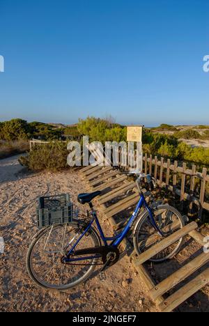 Garage à vélo à la plage de Levante - Platja de Llevant, - Formentera Banque D'Images