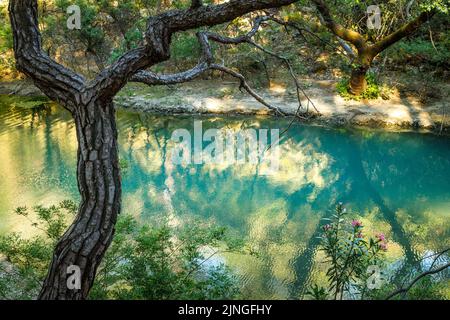 Lac dans la zone de forêt de sept sources cascade dans l'île de Rhodes, Grèce, Europe. Banque D'Images